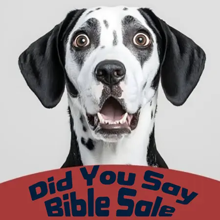 Did You Say Bible Sale - Faith Christian Store
